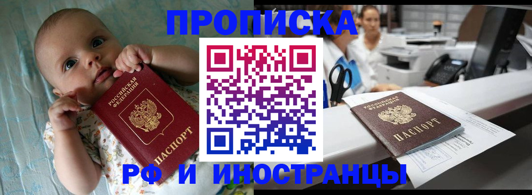 прописка поиск в Камчатской области